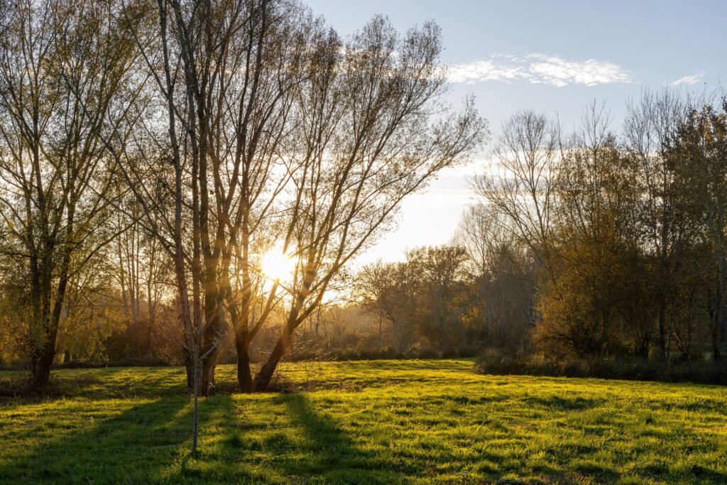 Ma passion pour la photographie